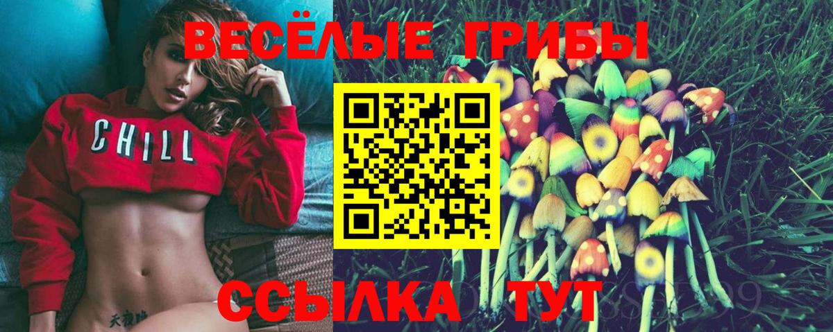 Галлюциногенные грибы прущие грибы Магнитогорск