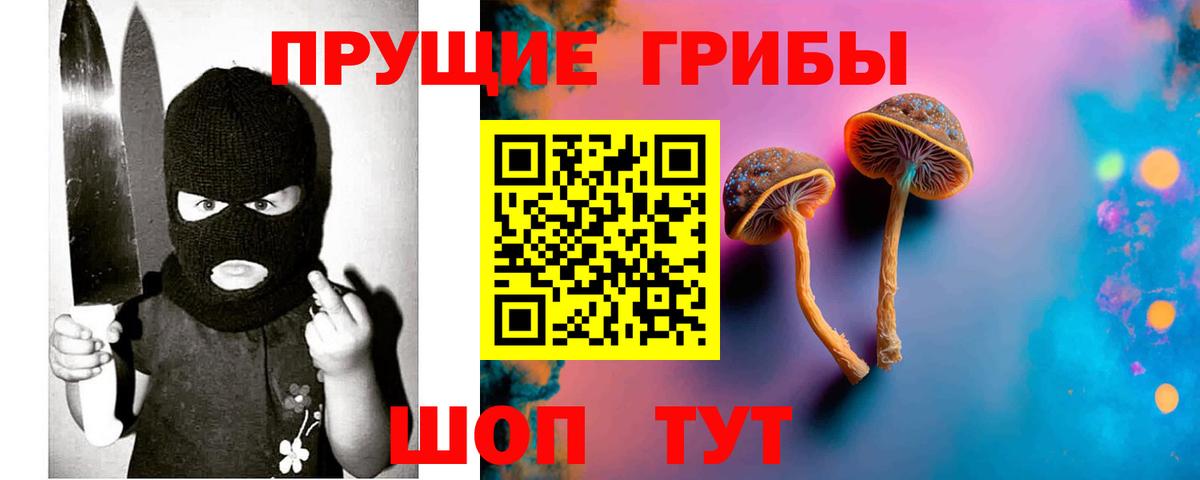 Псилоцибиновые грибы Psilocybe  Псилоцибиновые грибы мицелий  Магнитогорск  Вход с VPN 